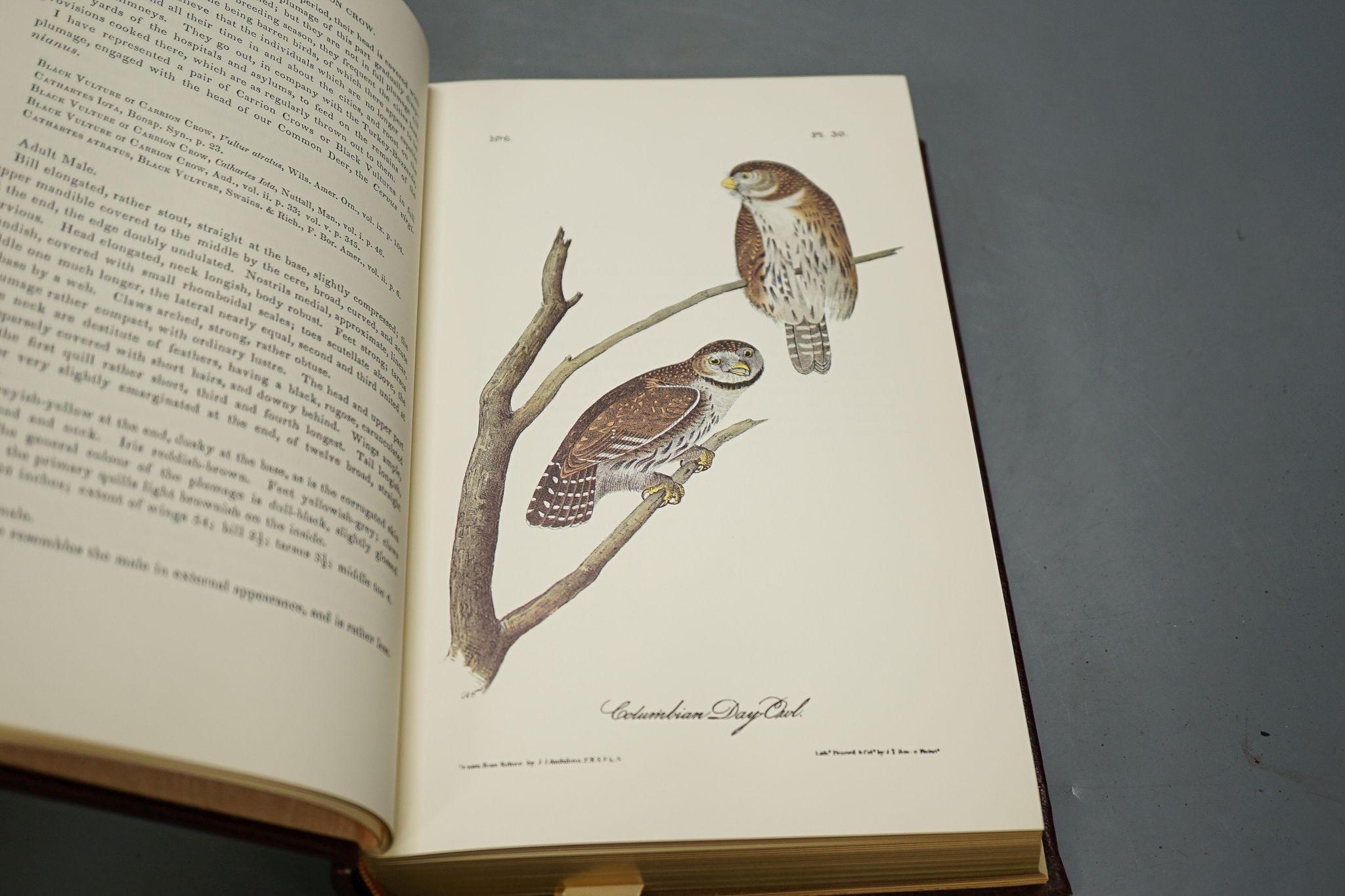 Audubon, John James & Bachman, Rev. John - The American Wildlife Heritage. 10 vols. (ex 11, lacking the index). many coloured plates; publisher's gilt ruled and decorated maroon morocco, gilt lettered panelled spines, ge